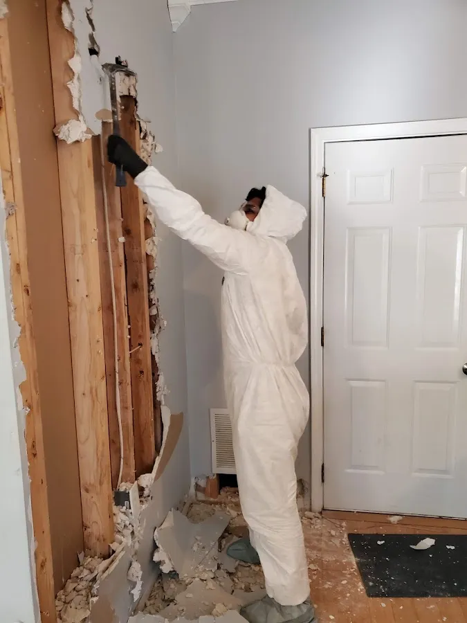 Water Damage Restoration services in Liberty Triangle, FL